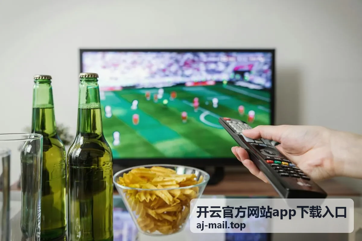 开云官方网站app下载入口的安装说明页面示意