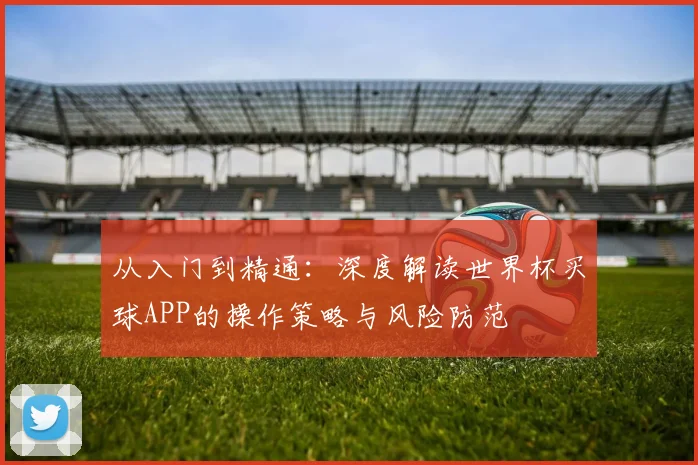 从入门到精通：深度解读世界杯买球APP的操作策略与风险防范