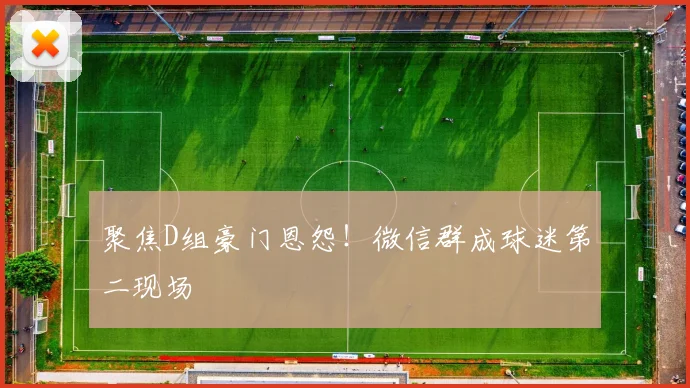 聚焦D组豪门恩怨!微信群成球迷第二现场
